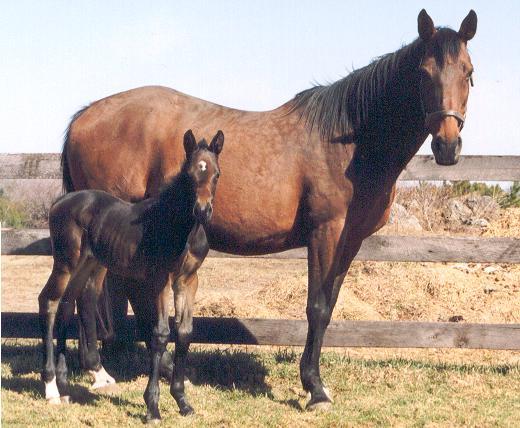 Meg and Mirabella at 24 hours